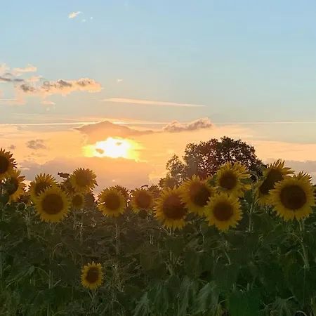 Comfortable Countryside Access To Jacuzzi 度假居 Asnois (Vienne)