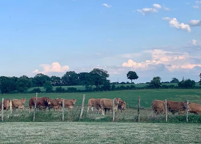 Сasa de vacaciones Comfortable Countryside Access To Jacuzzi Asnois (Vienne)