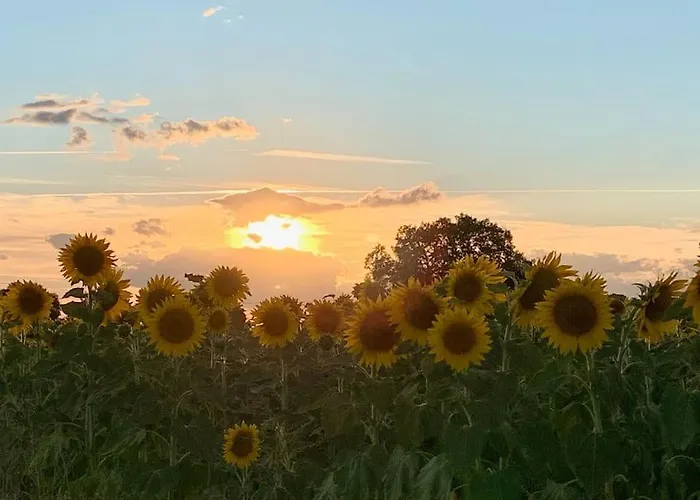 Comfortable Countryside Access To Jacuzzi Сasa de vacaciones Asnois (Vienne)